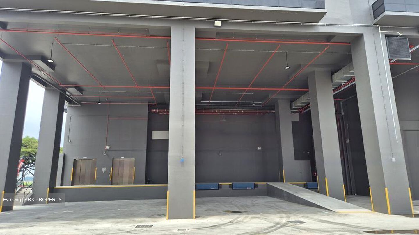 Mauser Singapore (D22), Factory #457815651